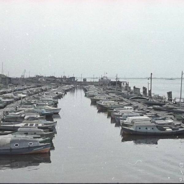 Берег Северной Двины. 1960-е годы