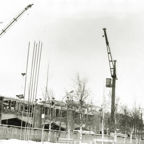 Добролюбовку строят. 1976 год
